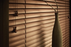 Blinds 01