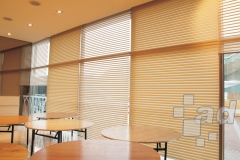 Blinds 10