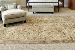 Carpets and Rugs 05
