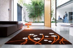 Carpets and Rugs 01