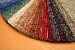 Carpets and Rugs 06