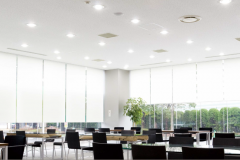Offices 02