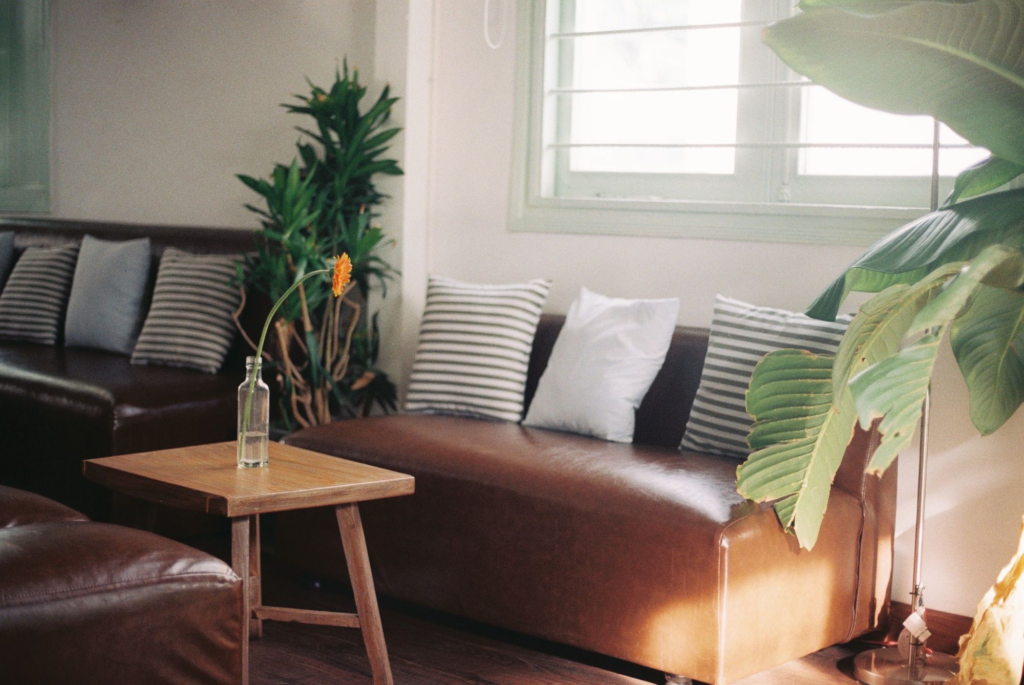 Brown leatherette sofa upholstery
